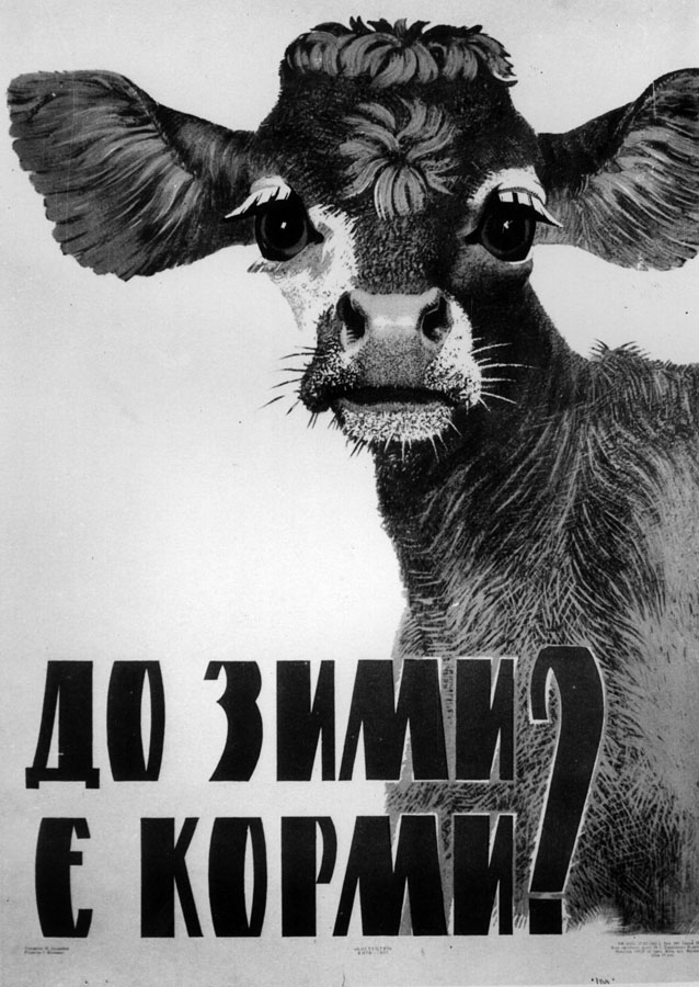 Баландюк Михайло Васильович